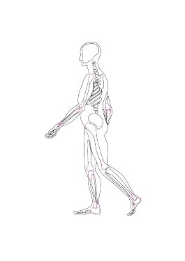 Best Hip Replacement Surgeon in bihar